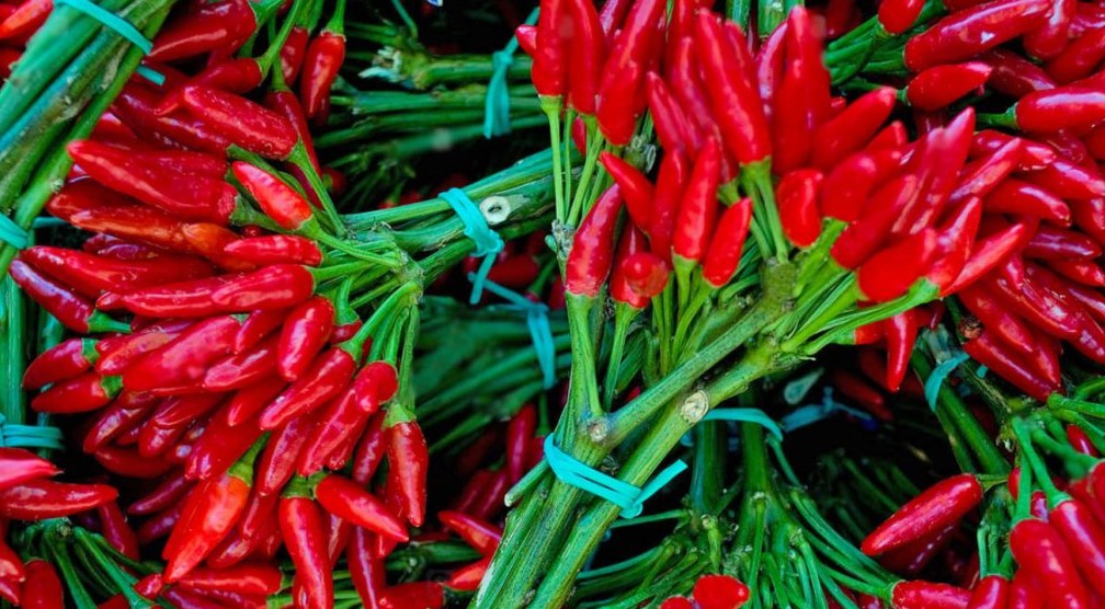 8000 kg speca djegës nga Shqipëria bllokohen në Kroaci për pesticide të ndaluara